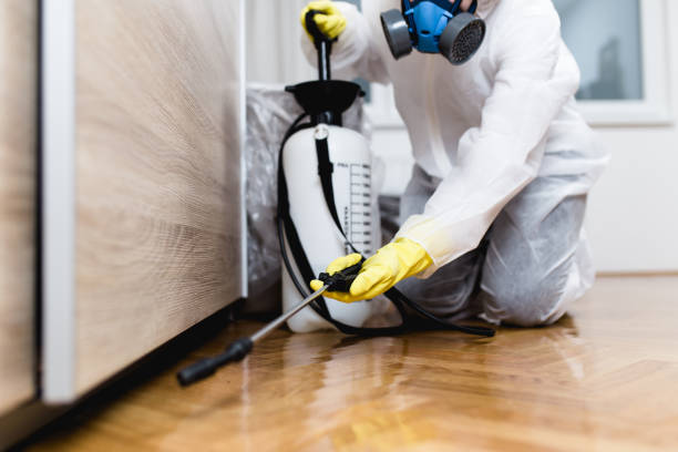 Best Flea Control Services  in Gresham Park, GA