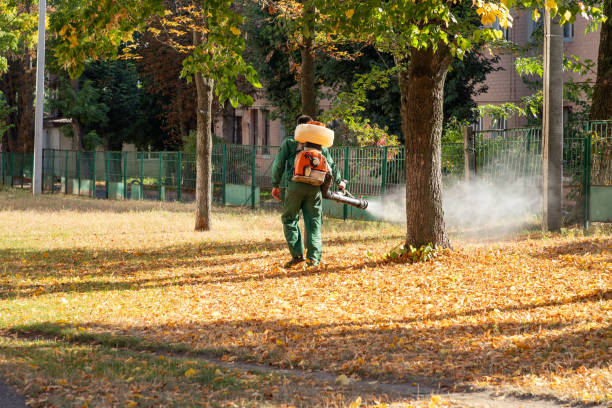 Best Local Pest Control Services  in Gresham Park, GA